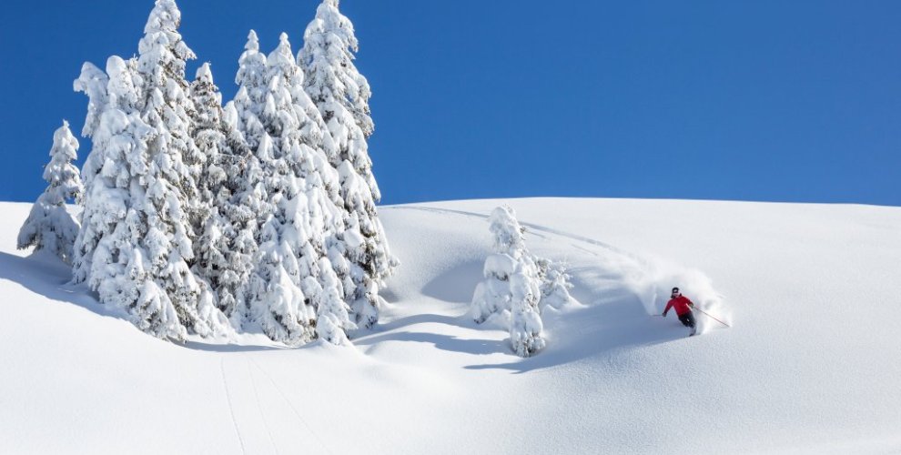 Skiing carve in off piste powder in Morzine