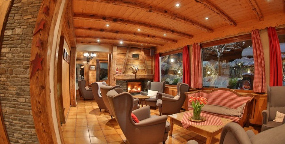 fleur des neiges ski hotel lounge