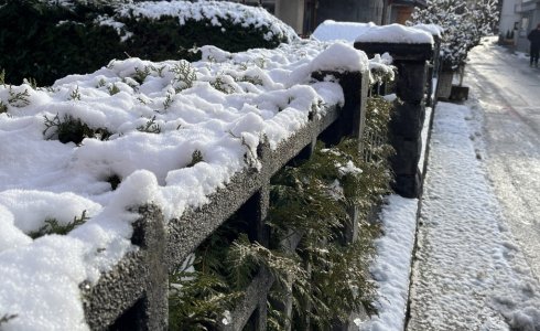 Snowy fence in Morzine