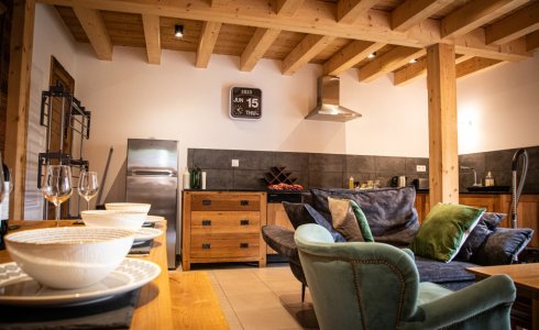 Ski apartment in Morzine