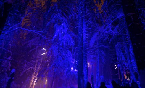 Alta Lumina Les Gets