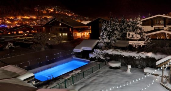 Fleus des neiges swimming pool snow