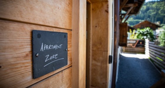 Ski apartment in Morzine