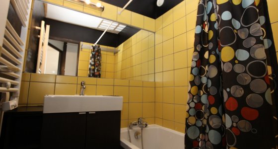 Apartment Alpages Charming Avoriaz bathroom