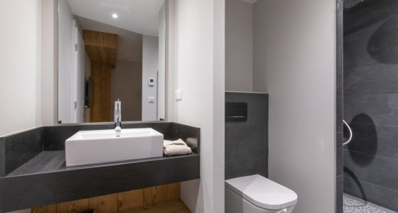 Apartment Alpages Duplex Avoriaz shower room