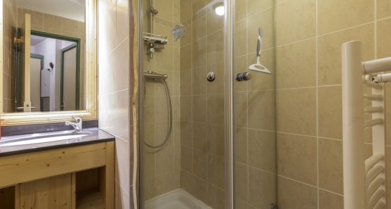 Apartment Alpages Standard Avoriaz shower room