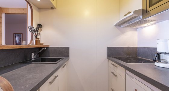 Apartment Araucarya Avoriaz kitchen