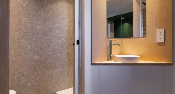 Apartment Elinka Avoriaz shower room