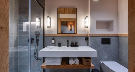 Shower room with glass shower, double basin and wall niche in Apartment Le Stade, Morzine