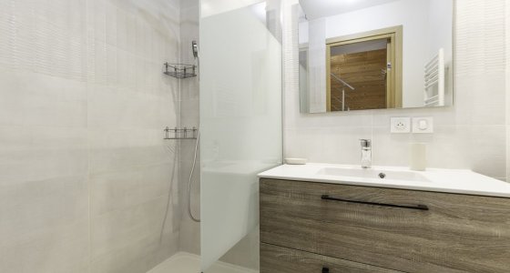 Apartment Neva Avoriaz shower room