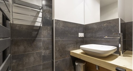 Apartment Kouria Avoriaz shower room