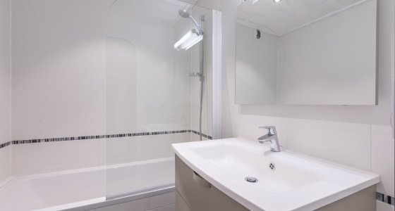 Apartment Araucarya Avoriaz bathroom