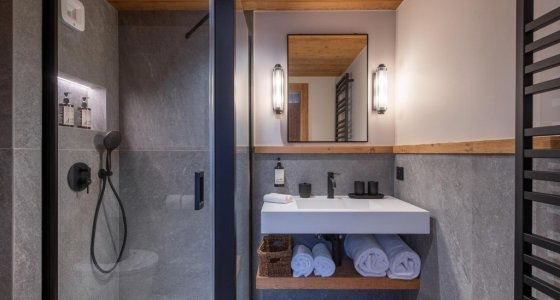Shower room with glass-screened shower and basin in Apartment Chamossière, Morzine