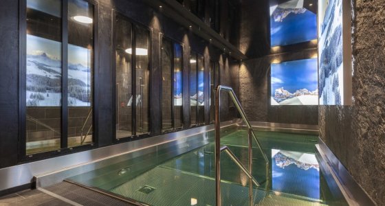 Chalet Aspen Avoriaz indoor pool