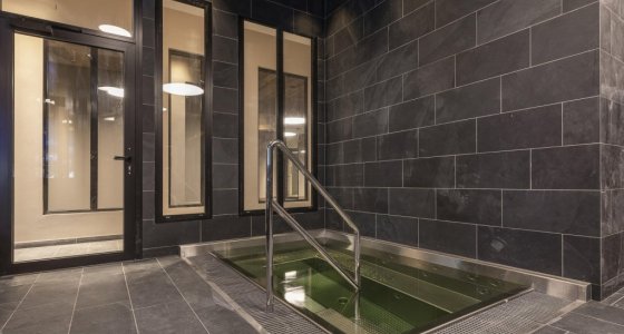 Chalet Aspen Avoriaz plunge pool