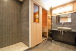 large ski chalet in avoriaz